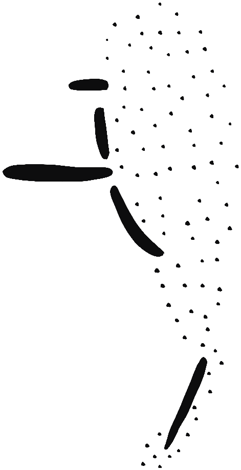 Image of the occurrence